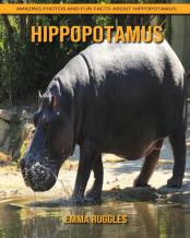 Hippopotamus