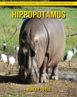 Bertrand.pt - Hippopotamus
