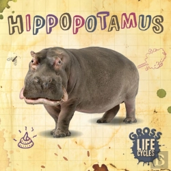 Bertrand.pt - Hippopotamus
