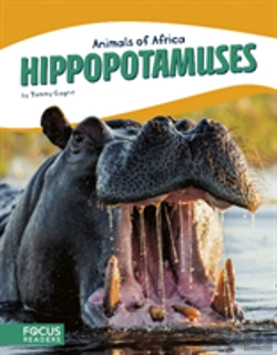 Bertrand.pt - Hippopotamuses