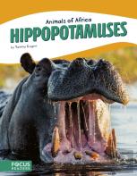 Hippopotamuses