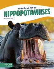 Hippopotamuses