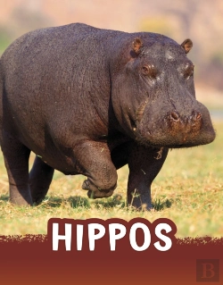 Bertrand.pt - Hippos