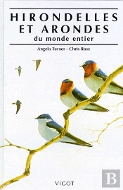 Hirondelles Et Arondes Du Monde Entier
