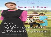 His Unexpected Amish Twins