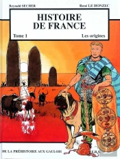 Histoire De France Tome 1 : Histoire De France Tome 1 - Les Origines - De La Préhistoire Aux Gaulois : Les Origines - De La Préhistoire Aux Gaulois