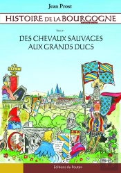 Histoire De La Bourgogne En Bandes Dessinées Tome 1 ; Des Chevaux Sauvages Aux Grands Ducs