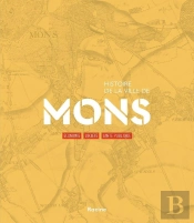 Histoire De La Ville De Mons : Economie, Société, Santé Publique