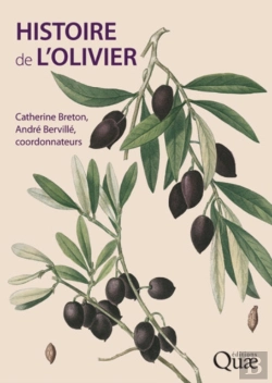 Bertrand.pt - Histoire De L'Olivier