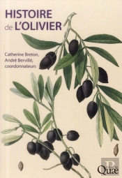 Histoire De L'Olivier