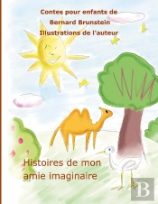 Histoire De Mon Amie Imaginaire
