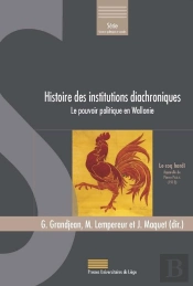 Histoire Des Institutions Diachroniques : Le Pouvoir Politique En Wallonie