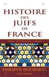 Histoire Des Juifs De France T.1 ; Des Origines A La Shoah