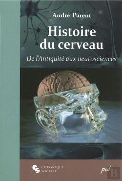 Bertrand.pt - Histoire Du Cerveau ; De L'Antiquité Aux Neurosciences