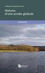 Histoire D'Une Annee Globule