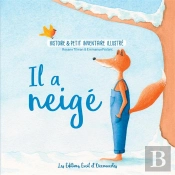 Histoire Et Petit Inventaire Illustré ; Il A Neigé
