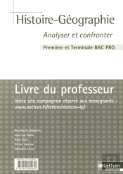 Histoire-Géographie ; Cahier D'Activités ; Bac Pro 1ère Et Terminale ; Livre Du Professeur (Édition 2007)