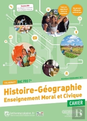 Histoire-Géographie Emc ; Terminale Bac Pro ; Cahier D'Activités