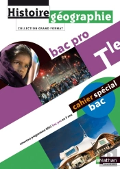 Histoire-Geographie Terminale Bac Pro (Grand Format) Eleve 2011