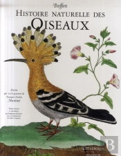 Histoire Naturelle Des Oiseaux De Buffon