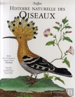 Bertrand.pt - Histoire Naturelle Des Oiseaux De Buffon