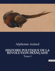Histoire Politique De Revolution Francai - .