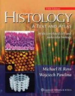 Bertrand.pt - Histology
