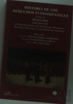 Historia De Los Derechos Fundamentales. Tomo Iii. Siglo Xix. Volumen Iii. El Derecho Positivo De Los