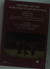 Historia De Los Derechos Fundamentales. Tomo Iii. Siglo Xix. Volumen Iii. El Derecho Positivo De Los