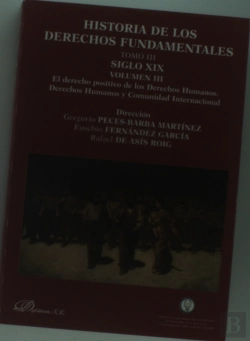 Bertrand.pt - Historia De Los Derechos Fundamentales. Tomo Iii. Siglo Xix. Volumen Iii. El Derecho Positivo De Los
