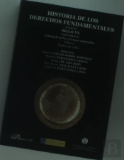 Historia De Los Derechos Fundamentales. Tomo Iv. Siglo Xx. Volumen V. Cultura De La Paz Y Grupos Vul