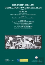 Historia De Los Derechos Fundamentales. Tomo Iv. Siglo Xx. Volumen Vi. El Derecho Positivo De Los De
