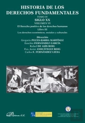Historia De Los Derechos Fundamentales. Tomo Iv. Siglo Xx. Volumen Vi. El Derecho Positivo De Los De