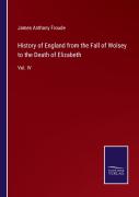History Of England From The Fall Of Wolsey To The Death Of Elizabeth