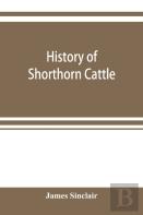 History Of Shorthorn Cattle