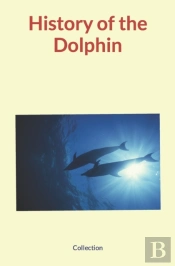 History Of The Dolphin