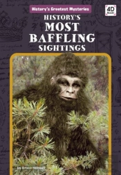 History'S Most Baffling Sightings