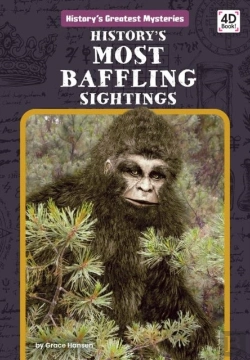 Bertrand.pt - History'S Most Baffling Sightings
