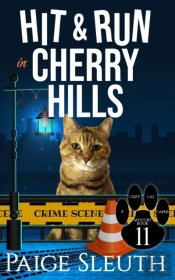 Hit And Run In Cherry Hills