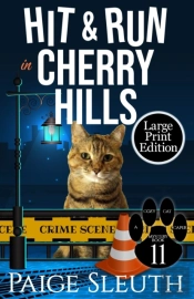 Hit And Run In Cherry Hills