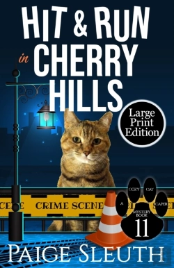 Bertrand.pt - Hit And Run In Cherry Hills