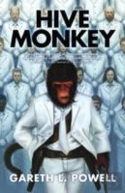 Hive Monkey
