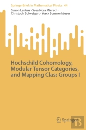 Hochschild Cohomology, Modular Tensor Categories, And Mapping Class Groups I