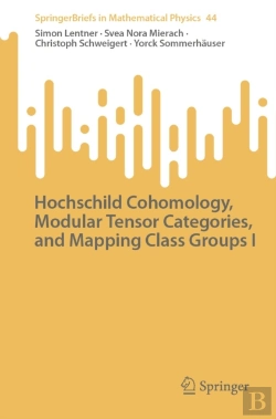 Bertrand.pt - Hochschild Cohomology, Modular Tensor Categories, And Mapping Class Groups I