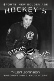 Hockey'S Stick And Stones