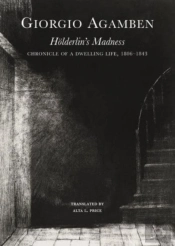 Holderlinâ€™S Madness