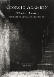 Holderlin'S Madness Â€“ Chronicle Of A Dwelling Life, 1806â€“1843