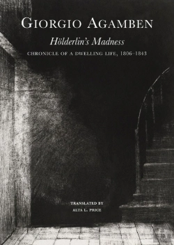 Bertrand.pt - Holderlin'S Madness Â€“ Chronicle Of A Dwelling Life, 1806â€“1843