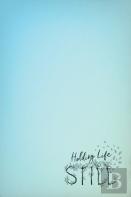 Holding Life Still
