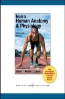Hole'S Human Anatomy And Physiology
